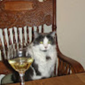 Meet your Posher, Peggy